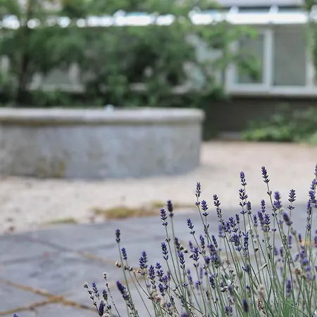 Powerscourt Springs Health Farm