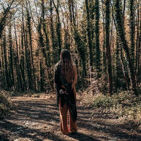 Powerscourt Springs Health Farm *