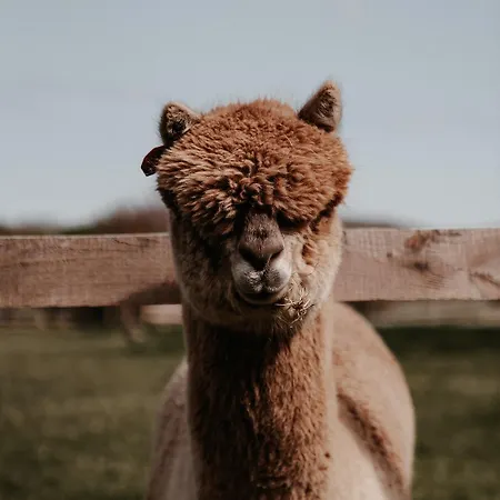 Hotel Powerscourt Springs Health Farm *