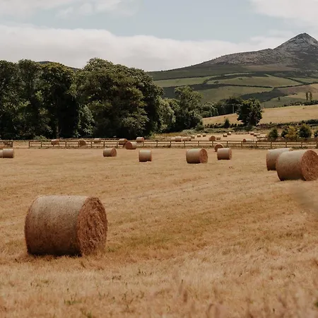 Hotel Powerscourt Springs Health Farm