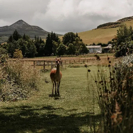 Powerscourt Springs Health Farm