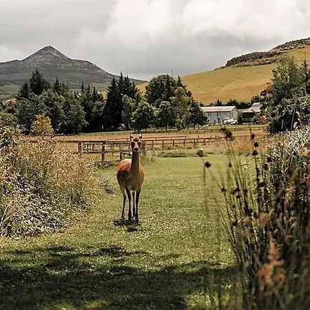 Powerscourt Springs Health Farm