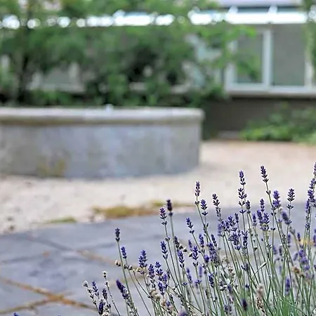 Powerscourt Springs Health Farm Hotel Wicklow