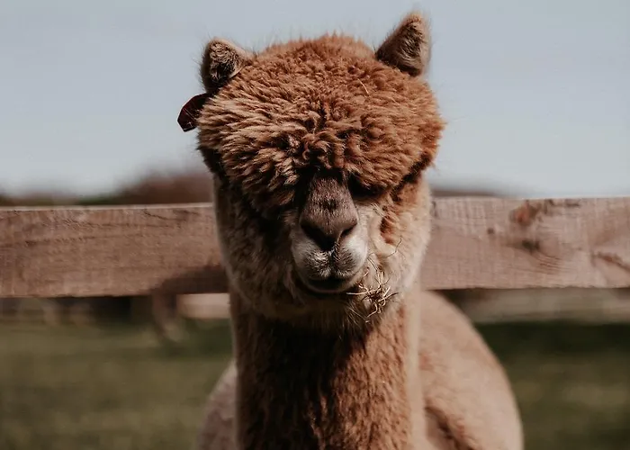 Hotel Powerscourt Springs Health Farm *