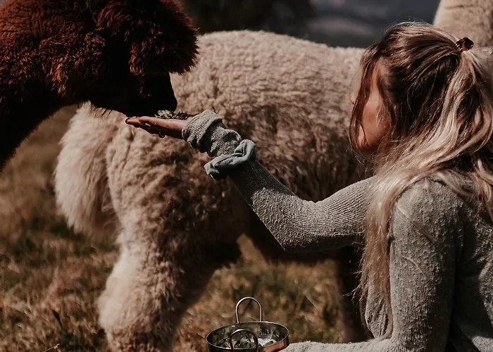 Powerscourt Springs Health Farm Wicklow